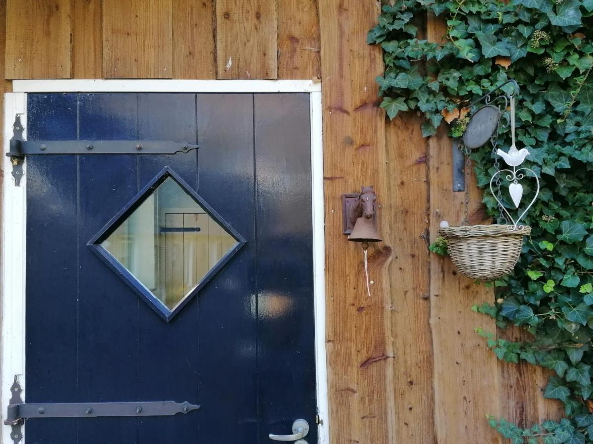 Bed and Breakfast Het Bonte Paard Dwingeloo Exterior foto